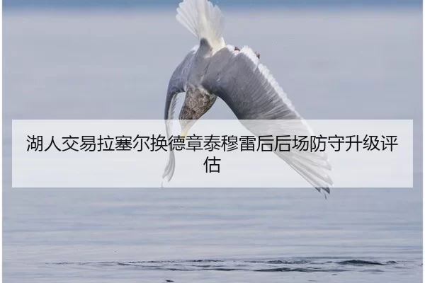 湖人交易拉塞尔换德章泰穆雷后后场防守升级评估